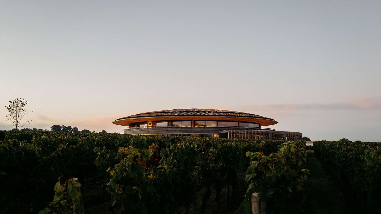 Le Dôme winery among the vineyards of Saint-Émilion at dusk